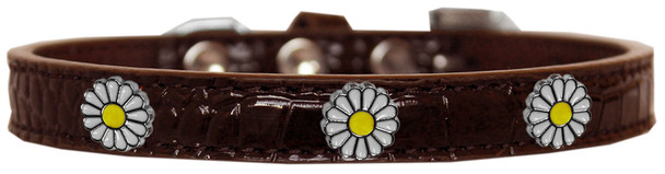 White Daisy Widget Croc Dog Collar - Chocolate