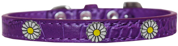 White Daisy Widget Croc Dog Collar - Purple