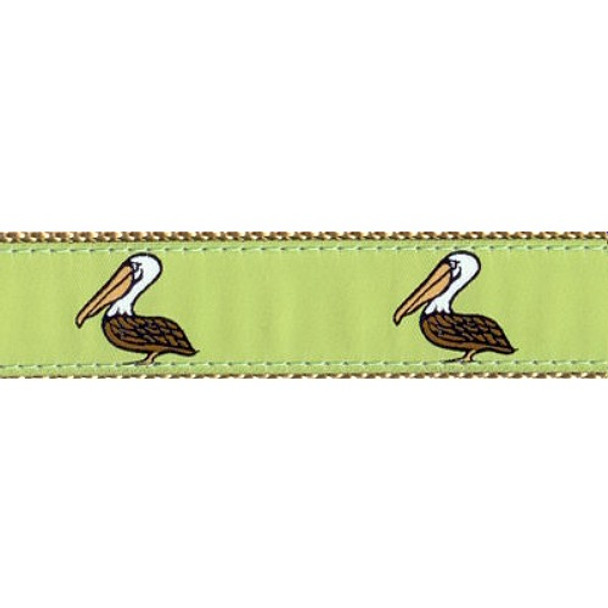 Pelicans 3/4 & 1.25 inch Dog Collar, Harness