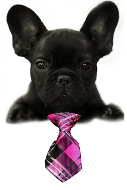 Pink Plaid Small Dog Neck Tie