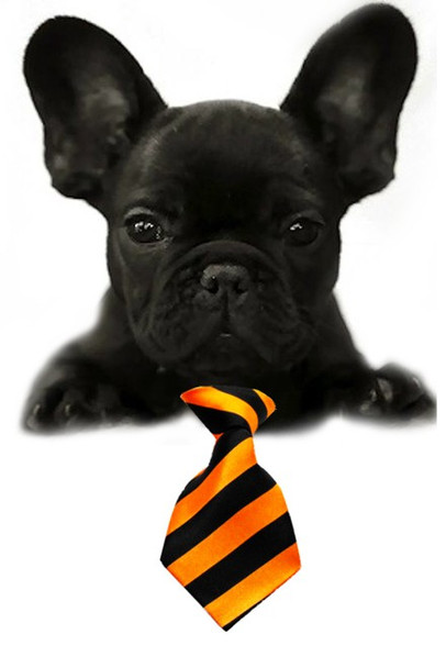 Orange / Black Large Stripe Small Dog Neck Tie