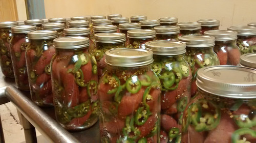 1/2 Gallon Glass Jar Nowicki's Pickled All Beef Sausage with Jalapeno Peppers - Spicy not hot.
