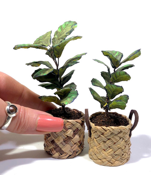 1:12 Scale Fiddle Leaf Fig Plant DIY