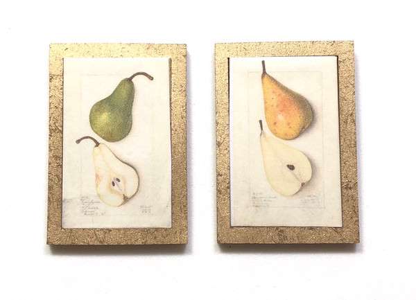 Pears Vintage Botanical Illustration | Pair Gold Framed Print | 1:12 Scale Modern Miniatures