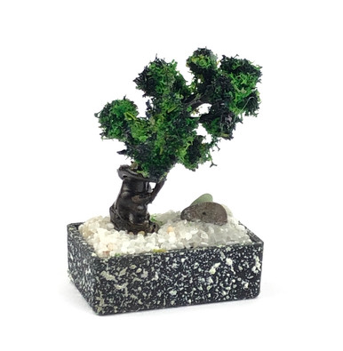 Juniper Bonsai 1 in Grey Stone Pot