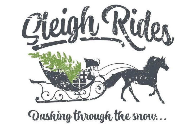 Sleigh Rides - Noel IOD Inlay Workshop 11/27