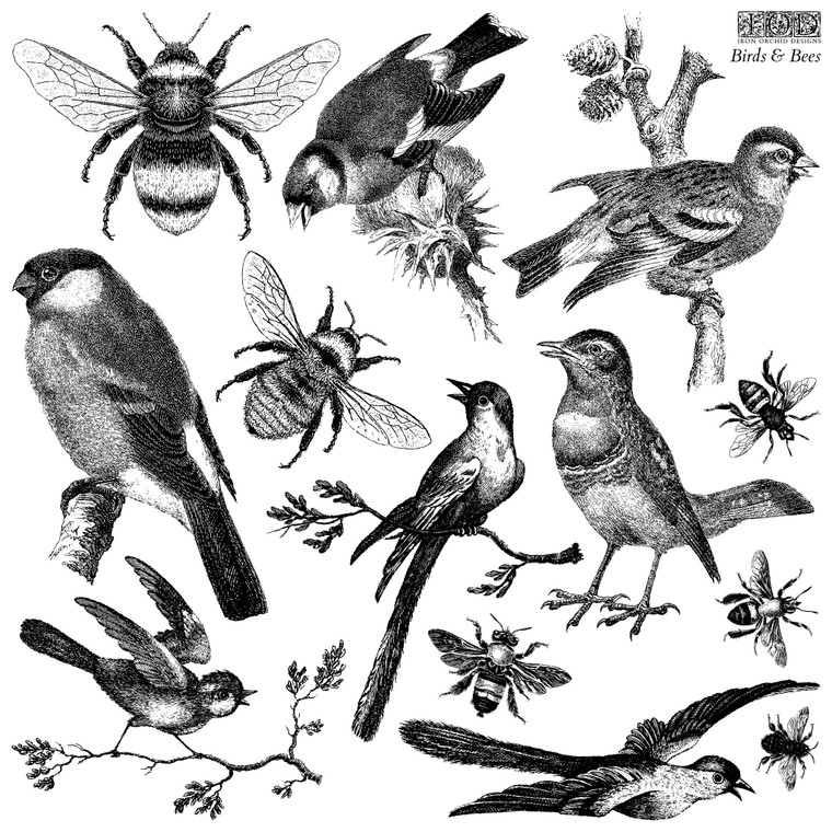 Birds & Bees 12×12 IOD STAMP™