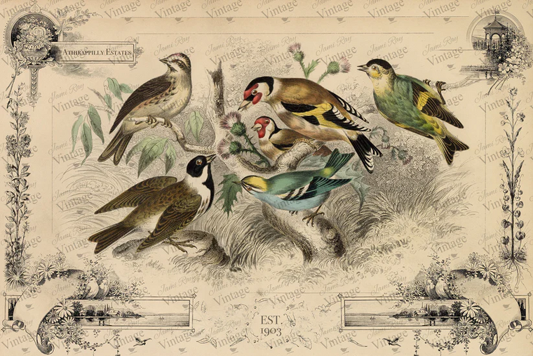 JRV Cottage Birds Decoupage Paper