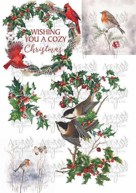 Cozy Winter Birds A4 - Digital Download