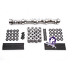 BTR LS1 LS2 Stage 2 N/A Cam Kit
