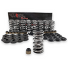 BTR Platinum LS Dual Spring Kit- .660" Lift - Steel Retainer - SK001