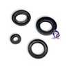 Dynosty OEM RB Transfer Case Seal Kit