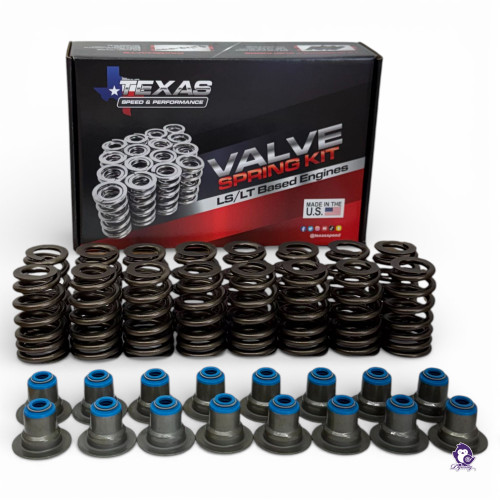 Texas Speed .550 Low Lift Springs like 12713265 with valve seals Kit