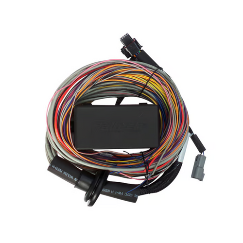 Haltech Elite 750 Premium Universal Wire-in Harness (HT-140604)