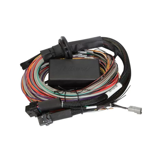 Haltech Elite 1500 Premium Universal Wire-in Harness Length: 2.5m (8') (HT-140904)