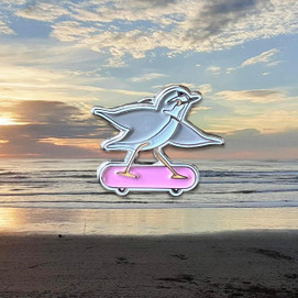Friends of Sunset Dunes