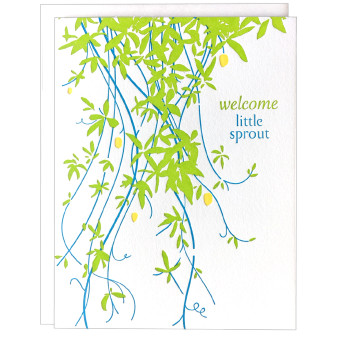Little Sprout