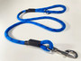 Blue leash