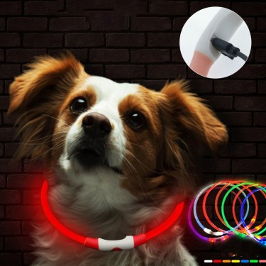 Luminous Dog Collar – Rechargeable LED Light-Up Collar for Night Safety