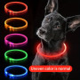 Led Dog Collar for Night Walks – Glowing, Adjustable, and Rechargeable - Visible Variety