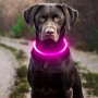 Led Dog Collar for Night Walks – Glowing, Adjustable, and Rechargeable