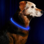 Led Dog Collar for Night Walks – Glowing, Adjustable, and Rechargeable