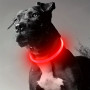 Led Dog Collar for Night Walks – Glowing, Adjustable, and Rechargeable