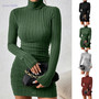 Classic Turtleneck Mini Dress for Women – Elegant Slim Bodycon Look - Visible Variety
