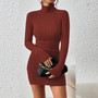 Classic Turtleneck Mini Dress for Women – Elegant Slim Bodycon Look - Visible Variety
