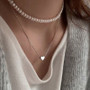 Classic Choker Necklace for Women – Elegant Heart Pendant Design - Visible Variety