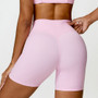 Women’s High Waist Fitness Shorts – Quick Dry & Squat Proof - Visible Variety