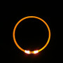 Luminous Dog Collar – Rechargeable LED Light-Up Collar for Night Safety