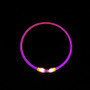 Luminous Dog Collar – Rechargeable LED Light-Up Collar for Night Safety
