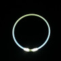 Luminous Dog Collar – Rechargeable LED Light-Up Collar for Night Safety