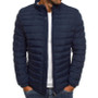 Men’s Cotton Padded Jacket – Water-Resistant Lightweight Puffer Design