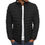 Men’s Cotton Padded Jacket – Water-Resistant Lightweight Puffer Design