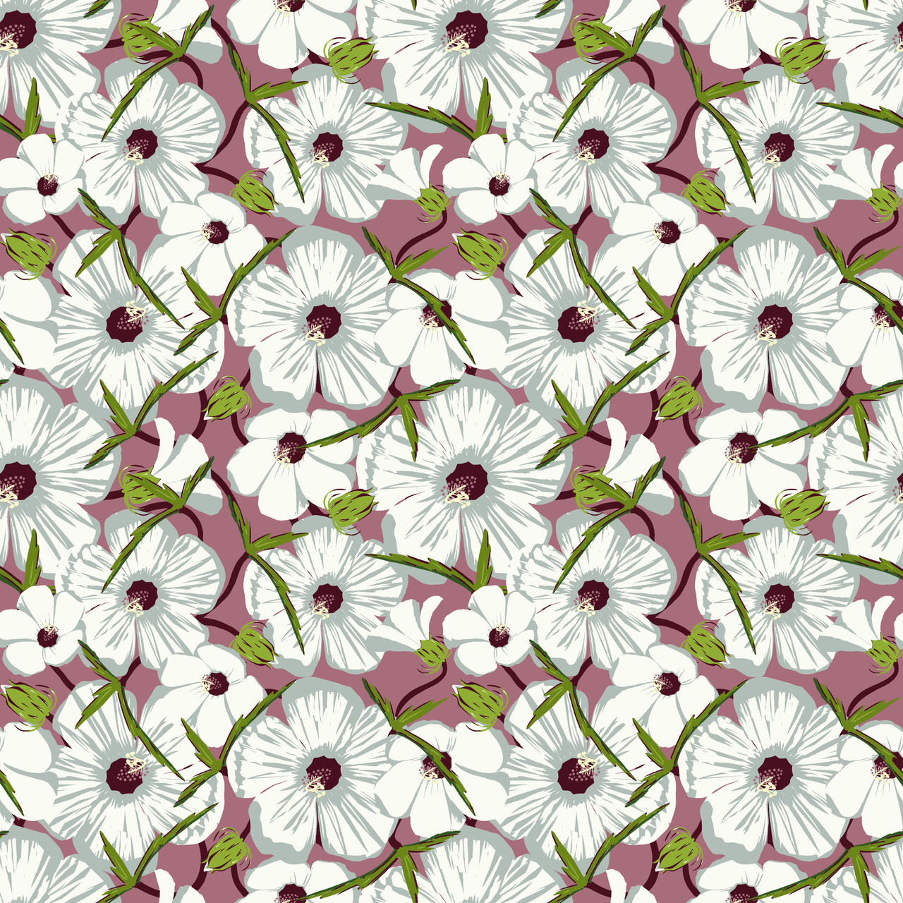 ROOTELIER & 日日花です。 Neches River Rose-mallow (Hibiscus dasycalyx)