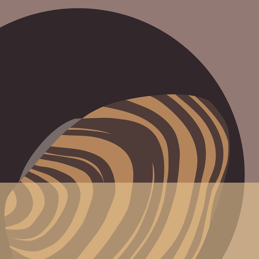 Balcones Spike (Fusconaia iheringi) 