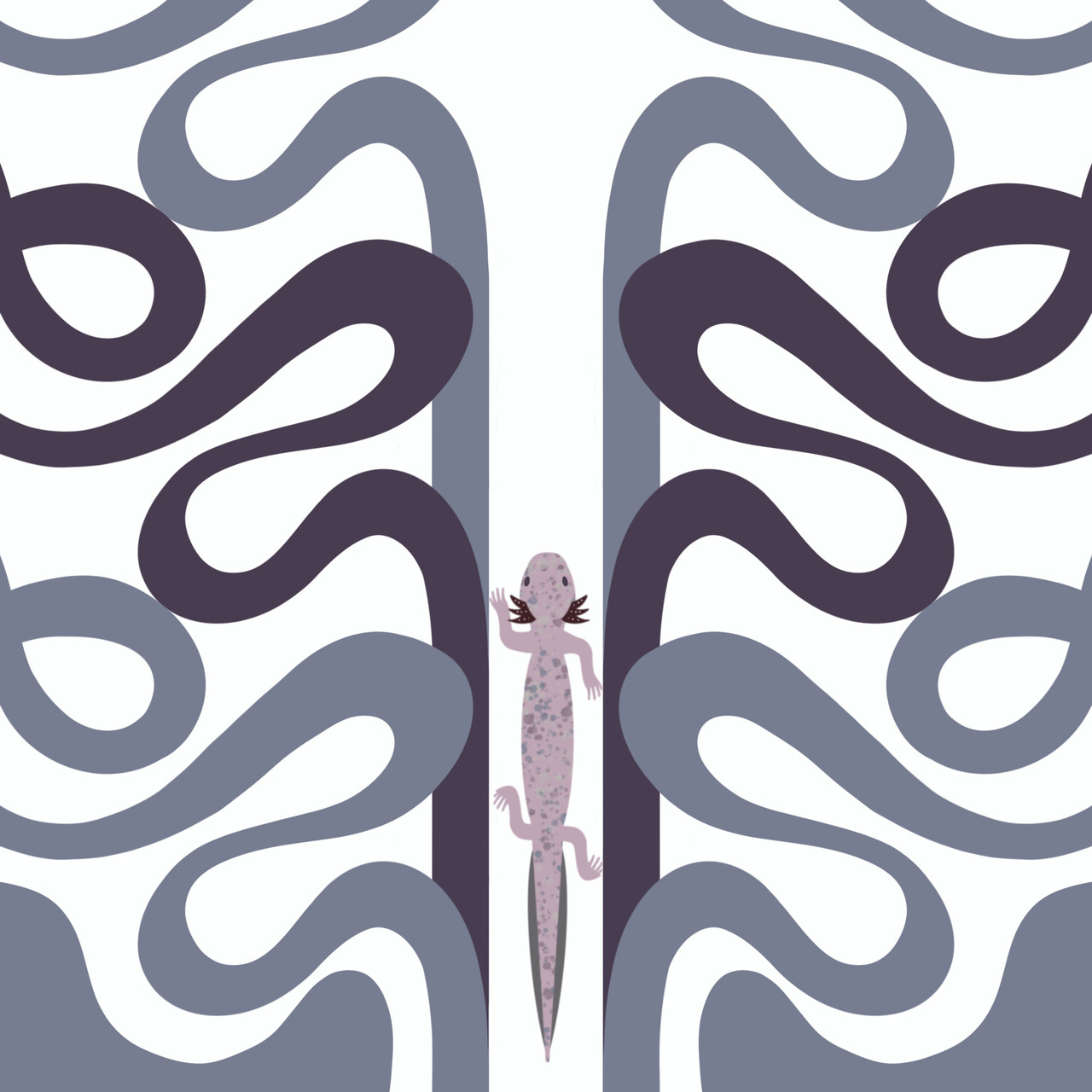 Barton Springs Salamander (Eurycea sosorum)- Endangered Texas Salamander Art