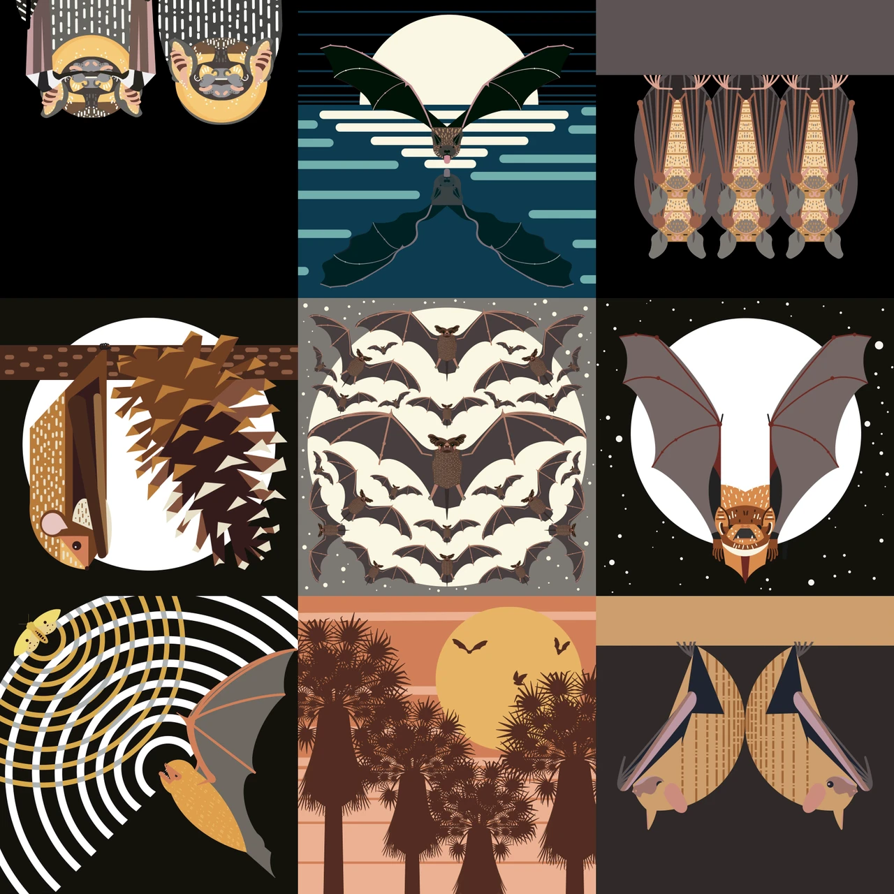 Really Small Museum Presents: Austin Bat Refuge & Juliet Whitsett