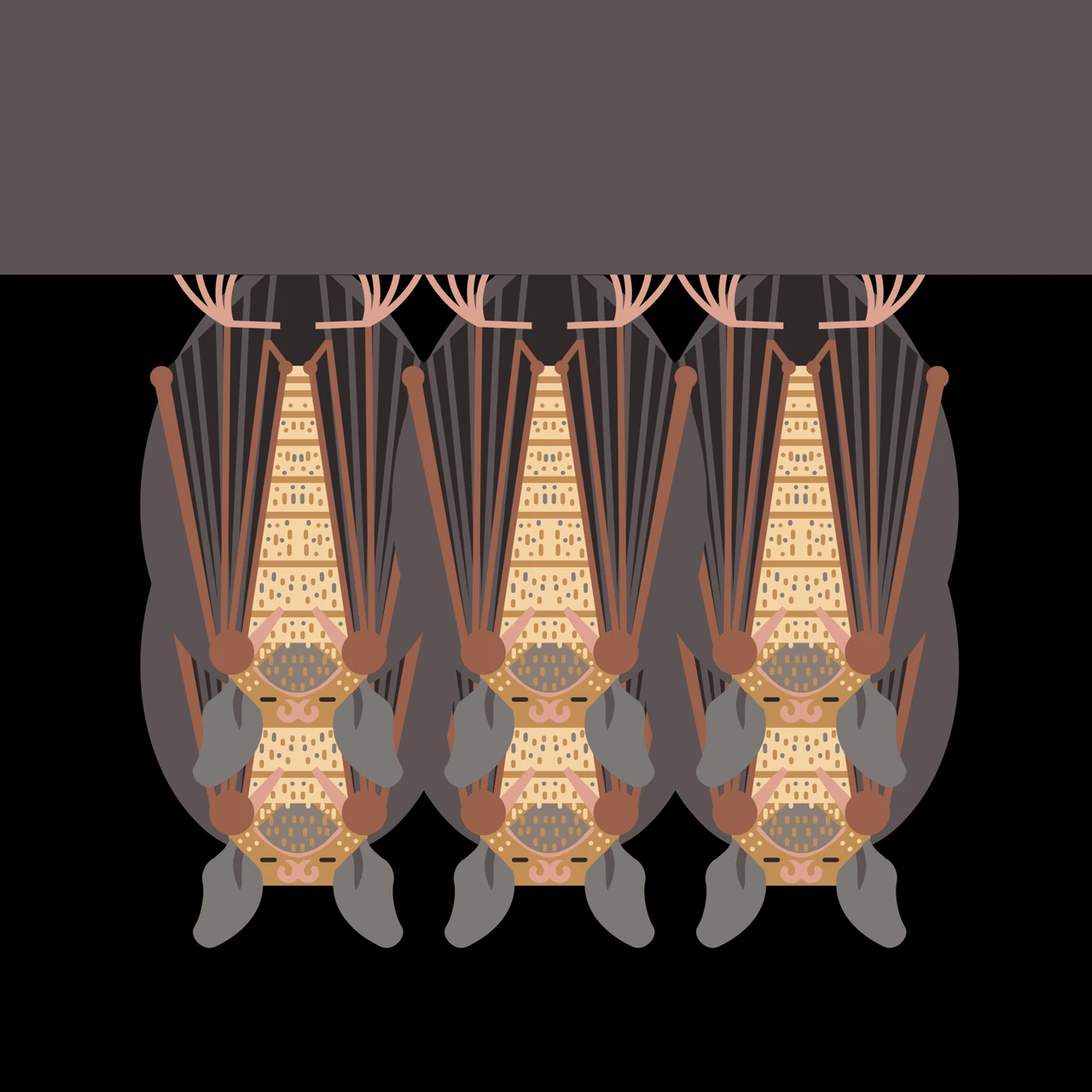 Cave Myotis (Myotis velifer)