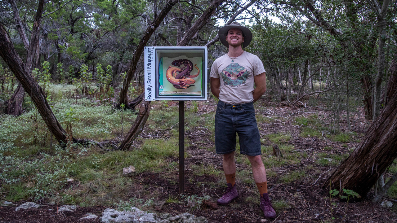 The ROAM | Really Small Museum Presents: Danny Martin