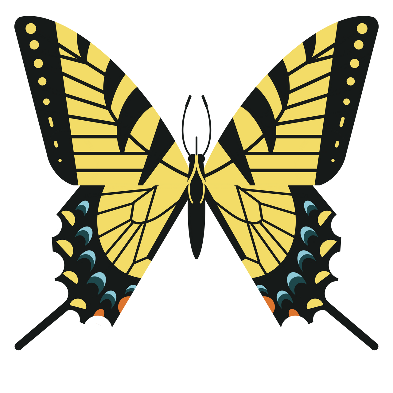 WILD NEIGHBORS SERIES: Eastern Tiger Swallowtail