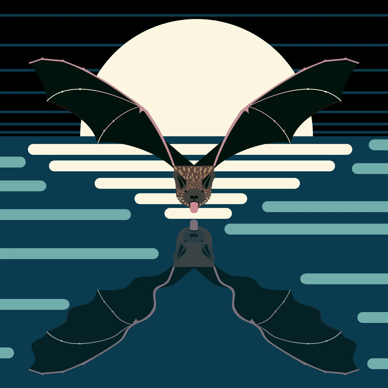Evening Bat (Nycticeius humeralis)