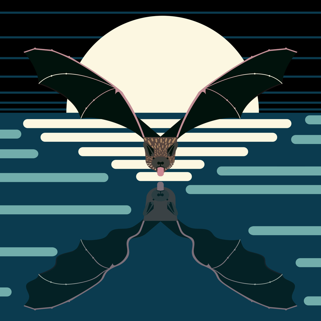 Evening Bat (Nycticeius humeralis)