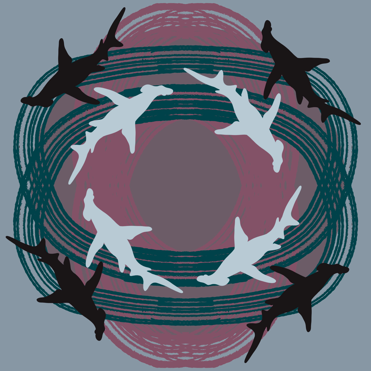 Great Hammerhead (Sphyrna mokarran) -Threatened Texas Fish