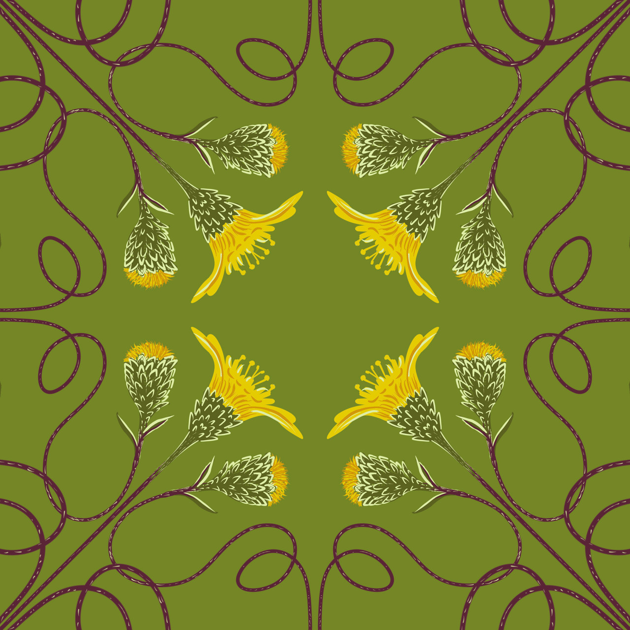  Houston Camphor Daisy (Rayjacksonia aurea) - Threatened Plant