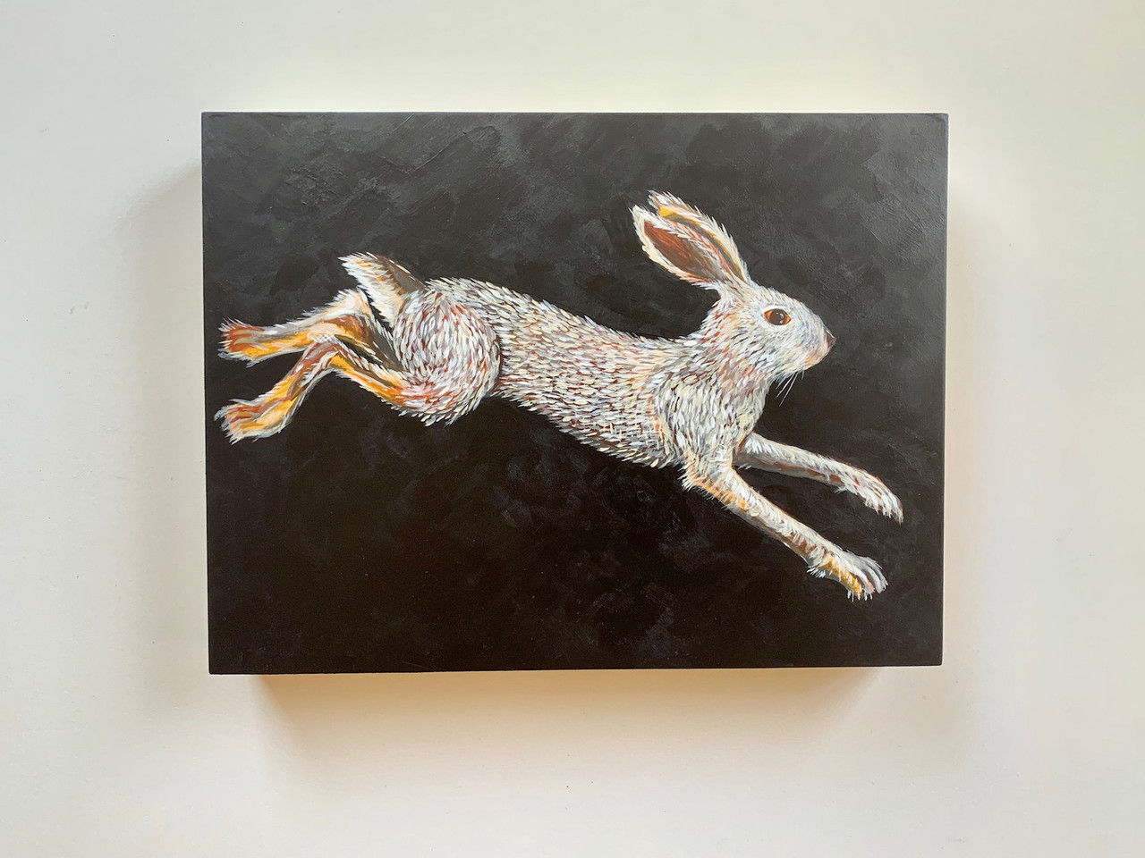 Painting a swimming rabbit! Meet the Swamp Rabbit (Sylvilagus aquaticus- ).