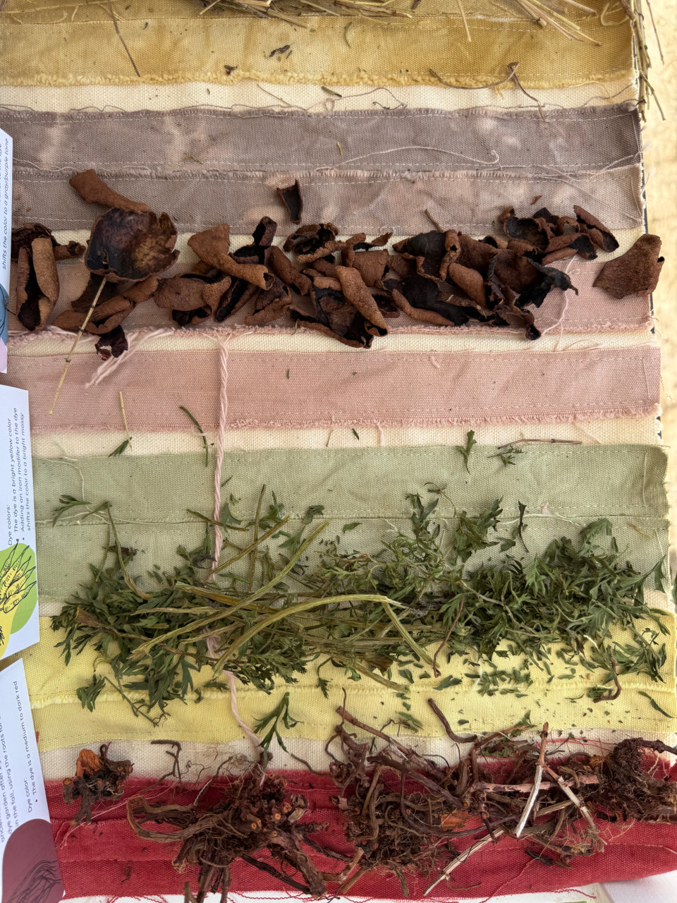 March '25 Featured Artists: The Refugee Collective