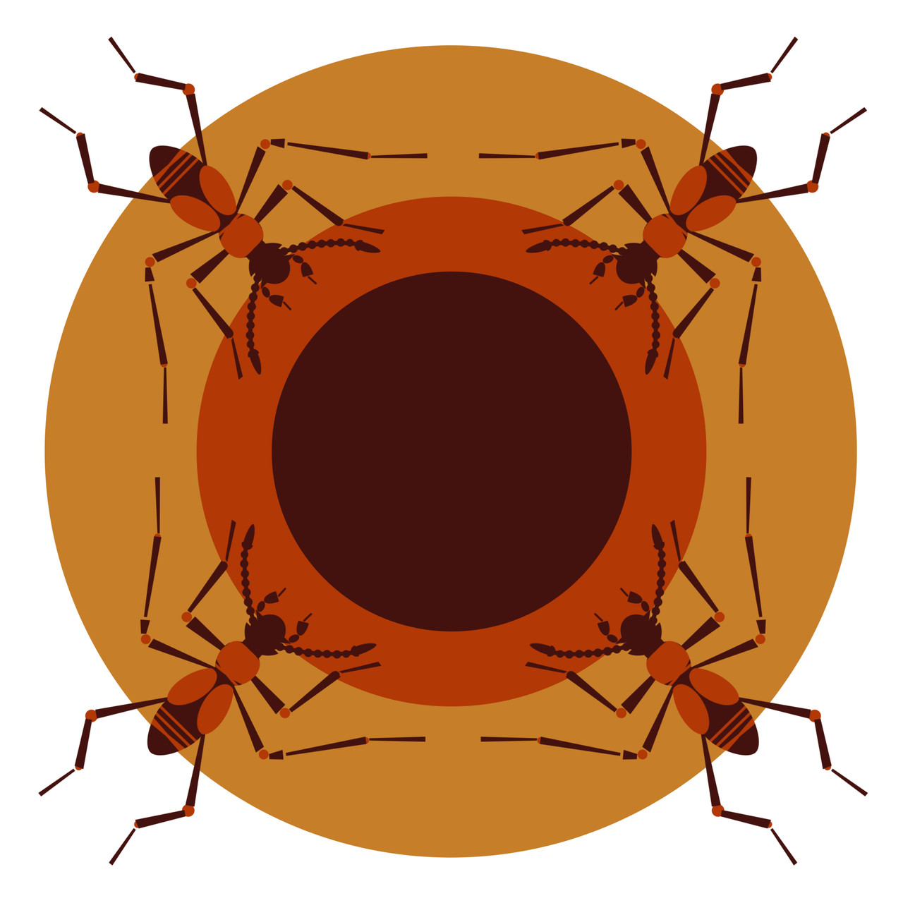 Kretschmarr Cave Mold Beetle (Texamaurops reddelli) 